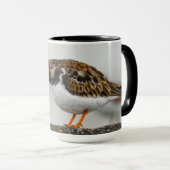 Niedlich dramatische Ruddy Turnstone Georgia Fotog Tasse (VorderseiteRechts)