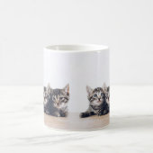 Niedlich drei Kätzchen Kaffeetasse (Mittel)