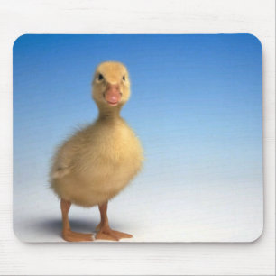 Niedlich Duckling Mousepad