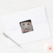 Niedlich Dumbo Rat Stickers (Umschlag)