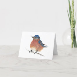 Niedlich Eastern Bluebird Couple Dankeschön Card Dankeskarte