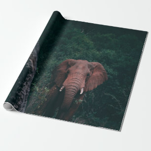 NIEDLICH ELEPHANT GESCHENKPAPIER