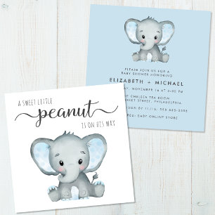 Niedlich Elephant Watercolor Baby Boy Couples Dusc Einladung