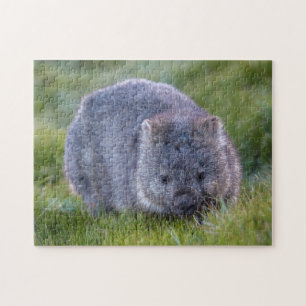 Niedlich Exotic Wombat Animal Wildlife, 252 Stück Puzzle