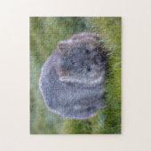 Niedlich Exotic Wombat Animal Wildlife, 252 Stück Puzzle (Vertikal)