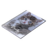 Niedlich Family Kitten Foto Notizblock (Linke Seite)