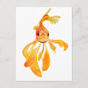 Niedlich Fantail Goldfish Vector Art Art Postkarte