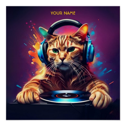 Niedlich Fantasy Cat DJ Vinyl Poster (Vorderseite)