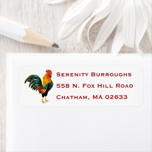 Niedlich Farm Bauer Hühnerparadies (Insitu)