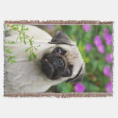 Niedlich Fauna Mops Welpe im Garten Decke (Vorderseite)