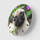 Niedlich Fawn Color Mops Welpe Dog Portrait Wählsc Runde Wanduhr (Winkel)