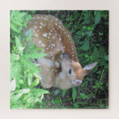 Niedlich Fawn Puzzle (Horizontal)