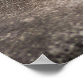 Niedlich Fennec Fox Poster (Ecke)