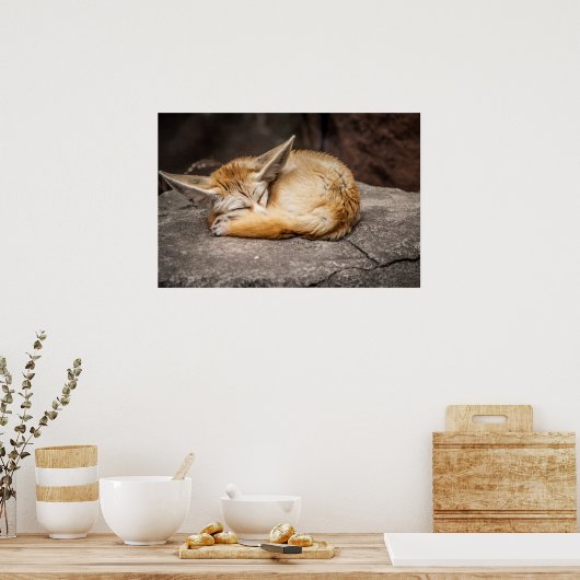 Niedlich Fennec Fox Poster (Küche)