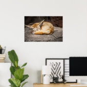 Niedlich Fennec Fox Poster (Heimbüro)