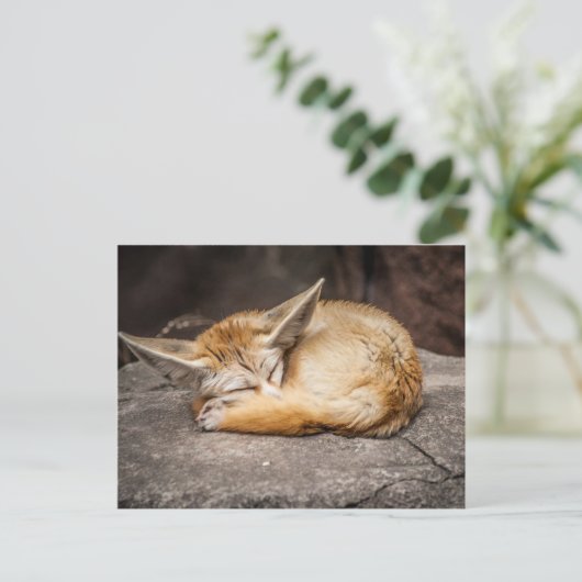 Niedlich Fennec Fox Postkarte (Stehend Vorderseite)