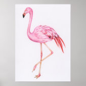 Niedlich Flamingo Zeichnend Poster (Vorne)