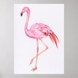 Niedlich Flamingo Zeichnend Poster