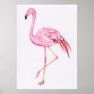 Niedlich Flamingo Zeichnend Poster