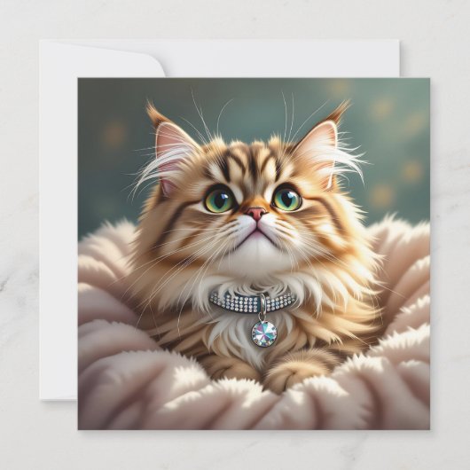 Niedlich Fluffy Cat | Leer (Vorderseite)