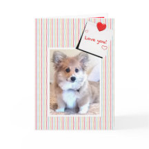 Niedlich Fluffy Corgi Valentine