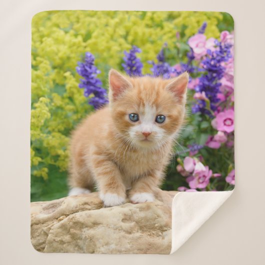 Niedlich Fluffy Ginger Baby Cat Kitten Blume Pet ' Sherpadecke (Vorderseite)