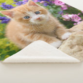 Niedlich Fluffy Ginger Baby Cat Kitten Blume Pet ' Sherpadecke (3/4)