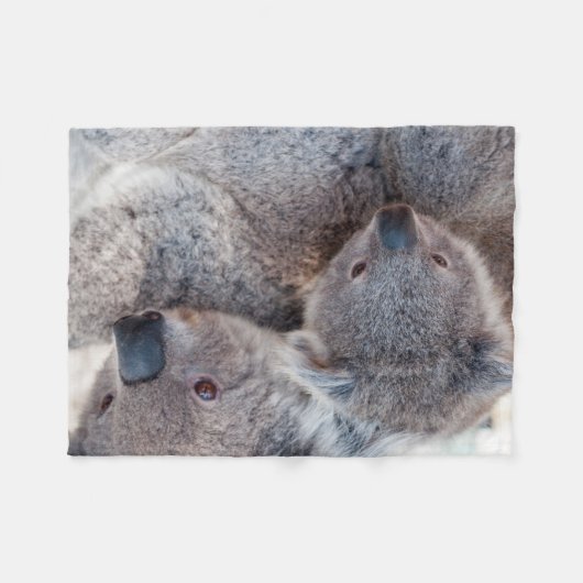Niedlich Fluffy Gray Koalas Fleecedecke (Vorderseite (Horizontal))