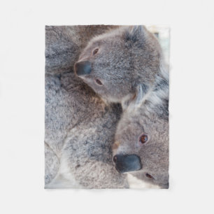 Niedlich Fluffy Gray Koalas Fleecedecke