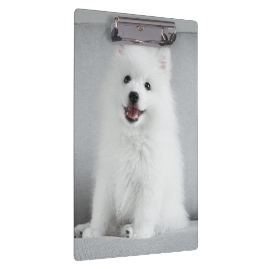 Niedlich fluffy Japanese Spitz Welppy Klemmbrett (Rechts)