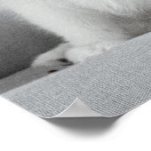 Niedlich fluffy Japanese Spitz Welppy Poster (Ecke)