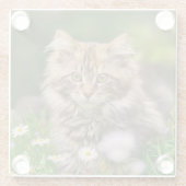 Niedlich Fluffy Maine Coon Kitten Katze in Blume F Glasuntersetzer (Rückseite)