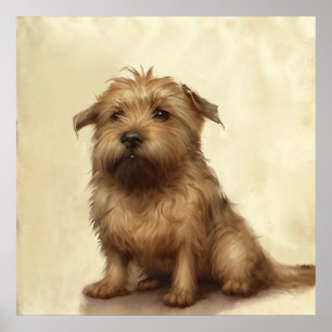 Niedlich Fluffy Norfolk Terrier Art Poster