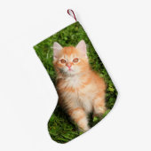 Niedlich Fluffy Orange Tabby Cat Kitten Kleiner Weihnachtsstrumpf (Rückseite (Hängend))