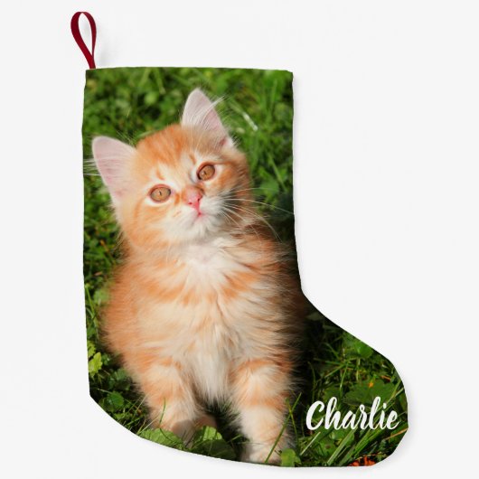 Niedlich Fluffy Orange Tabby Cat Kitten Kleiner Weihnachtsstrumpf (Vorderseite)