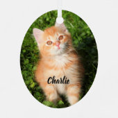 Niedlich Fluffy Orange Tabby Cat Kitten Ornament Aus Metall (Rückseite)