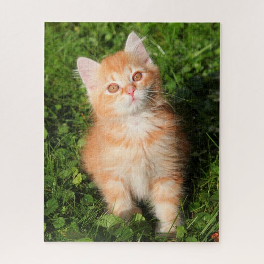 Niedlich Fluffy Orange Tabby Cat Kitten Puzzle (Vertikal)