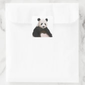 Niedlich Fluffy Panda Bear Quadratischer Aufkleber (Tasche)