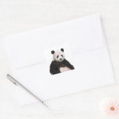 Niedlich Fluffy Panda Bear Quadratischer Aufkleber (Umschlag)
