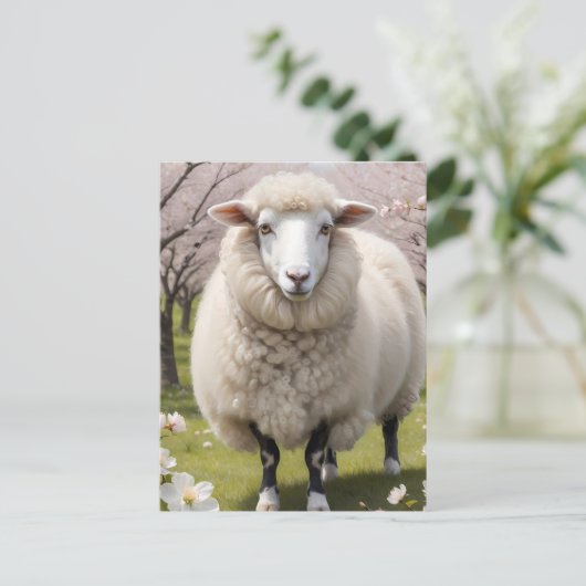 Niedlich Fluffy Sheep Postkarte (Stehend Vorderseite)