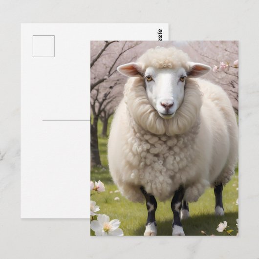 Niedlich Fluffy Sheep Postkarte (Vorne/Hinten)