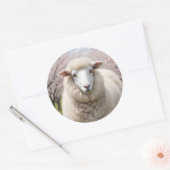 Niedlich Fluffy Sheep Runder Aufkleber (Umschlag)