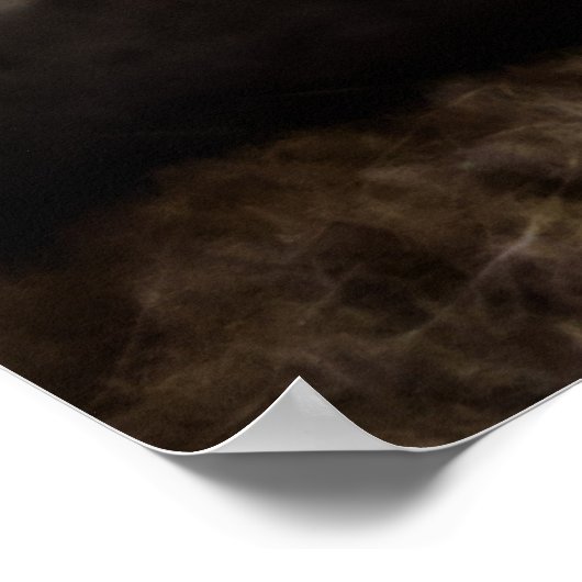 Niedlich Fluffy Tabby Cat Poster (Ecke)