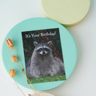 Niedlich Forest Raccoon Foto Funny Birthday Karte