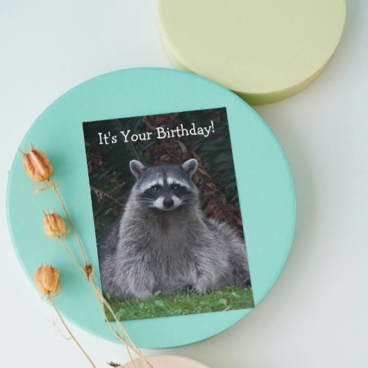Niedlich Forest Raccoon Foto Funny Birthday Karte