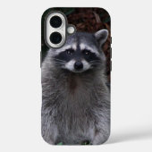Niedlich Forest Raccoon Wildlife Foto Case-Mate iPhone Hülle (Rückseite)