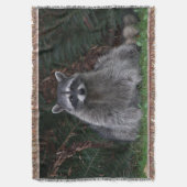Niedlich Forest Raccoon Wildlife Foto Decke (Vorderseite Vertikal)