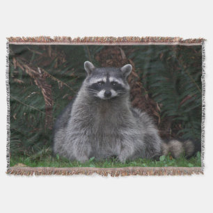 Niedlich Forest Raccoon Wildlife Foto Decke
