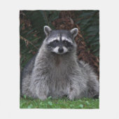 Niedlich Forest Raccoon Wildlife Foto Fleecedecke (Vorderseite)
