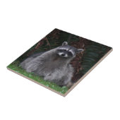 Niedlich Forest Raccoon Wildlife Foto Fliese (Seite)